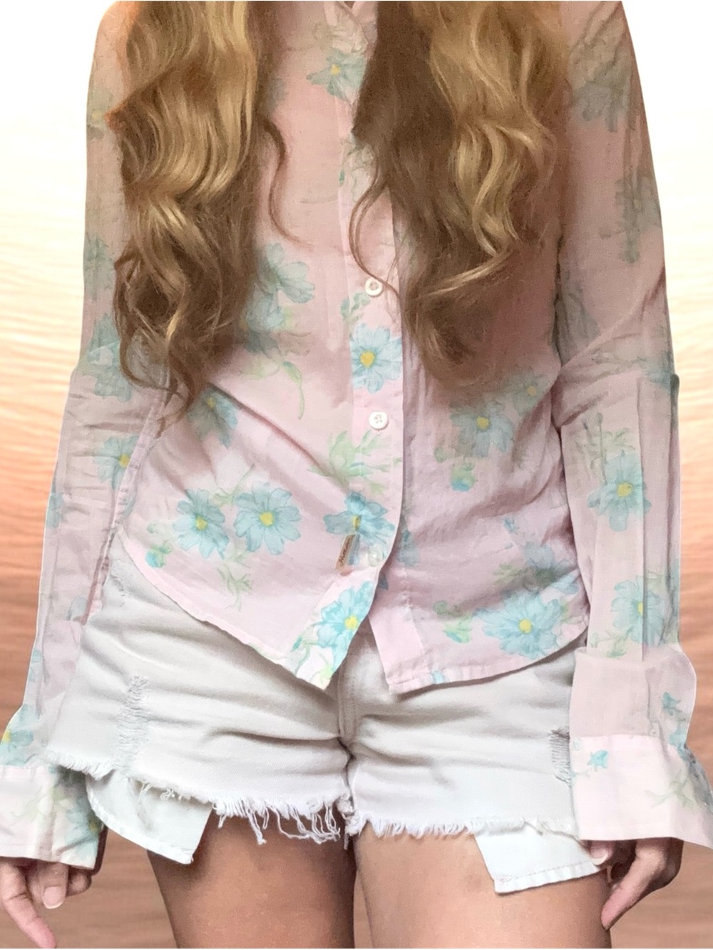 Vintage Y2K Sheer floral button down Shirt Blouse